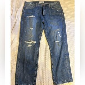 Flying Monkey Ripped Jeanss
